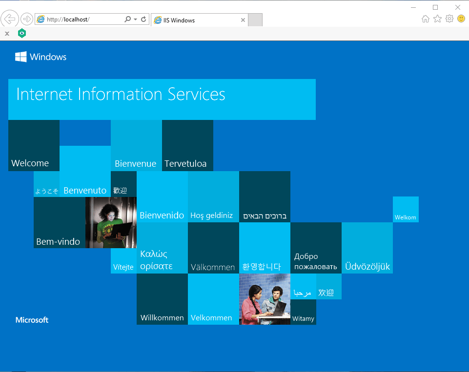 Страница Localhost